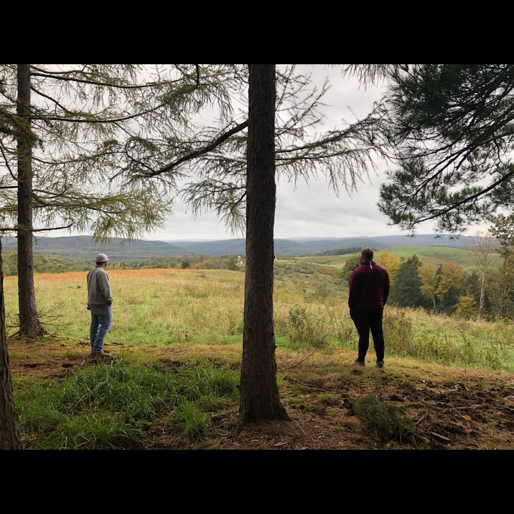 Meet your Posher, Tyler